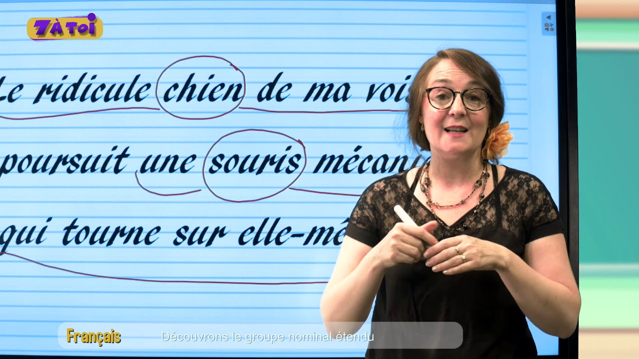 Tuto n°6 : Français - Découvrons le groupe nominal étendu