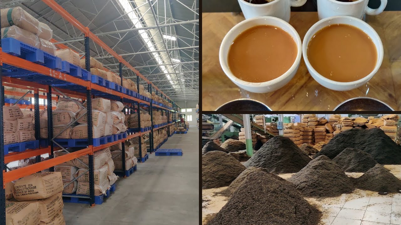PEOCHAI | Assam Tea Wholesale business | Direct from Auction center | Buy directly from tea estate