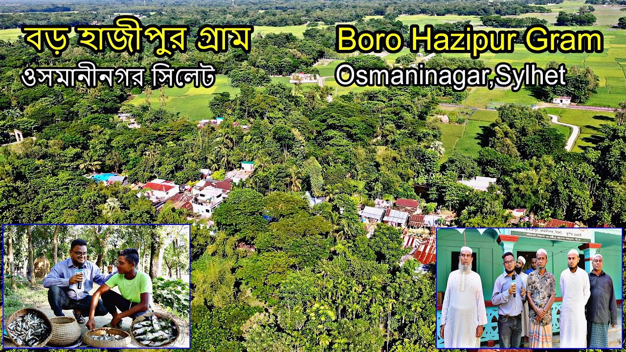 Amazing Village Boro Hajipur Gram Osmaninagar Sylhet Bangladesh | বড় হাজীপুর গ্রাম ওসমানীনগর সিলেট