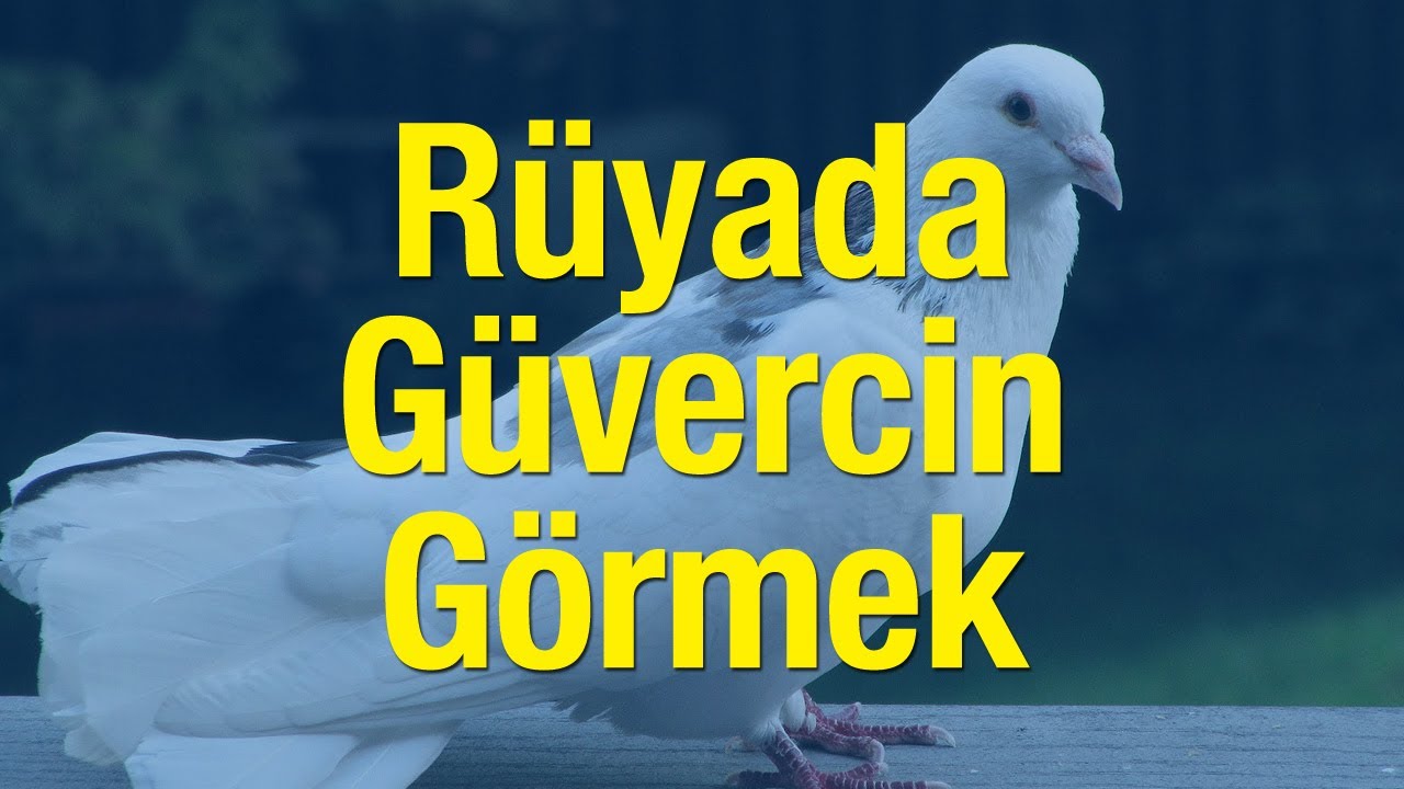 Rüyada Güvercin Görmek İyiye Mi Yorulur? Rüyada Beyaz Güvercin Görmek Ne Anlama Gelir?
