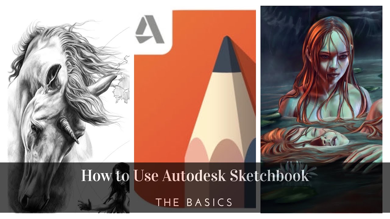 How to use Autodesk Sketchbook (for iPad) || Basics and Features||
