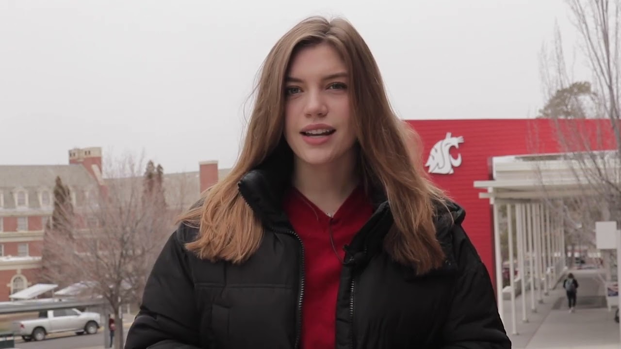 Ava Wainhouse Reporter Resume Reel 2021-2022