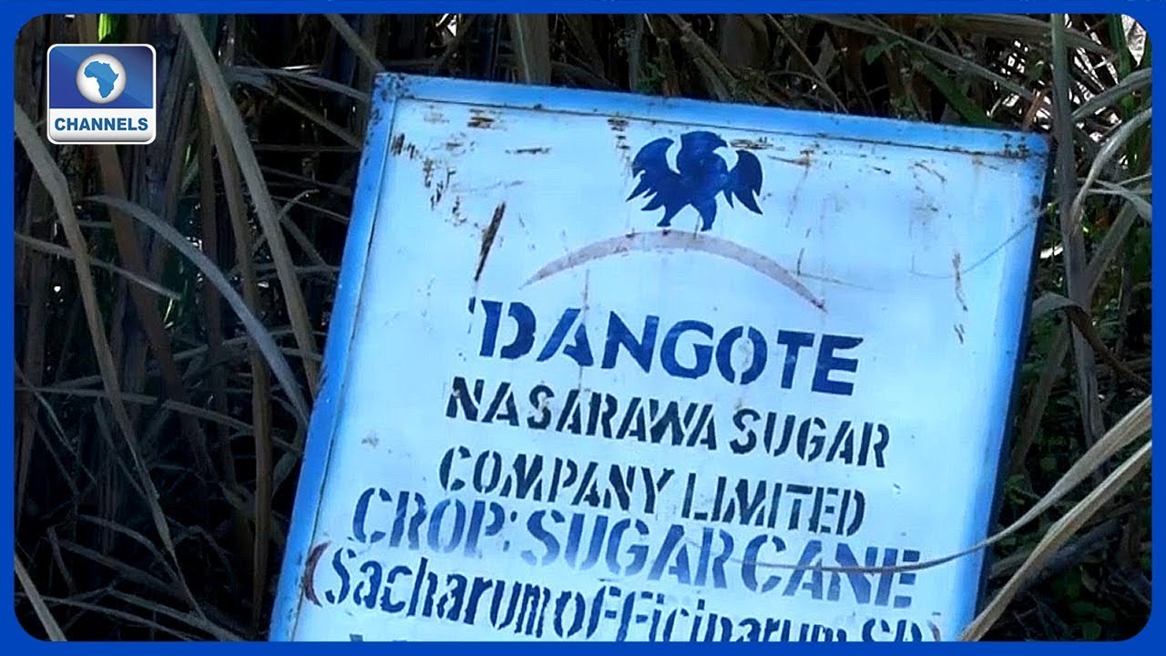 Dangote Confident Of Meeting Local Sugar Demands