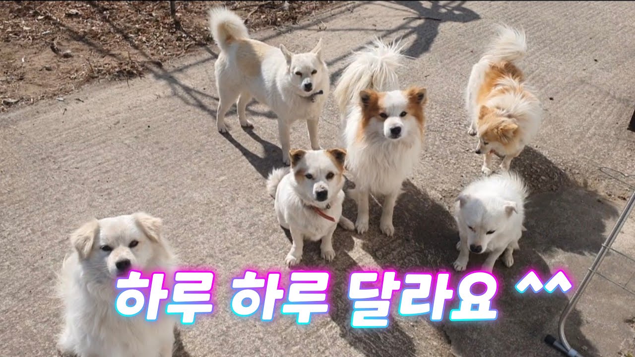 개과천선 9일차