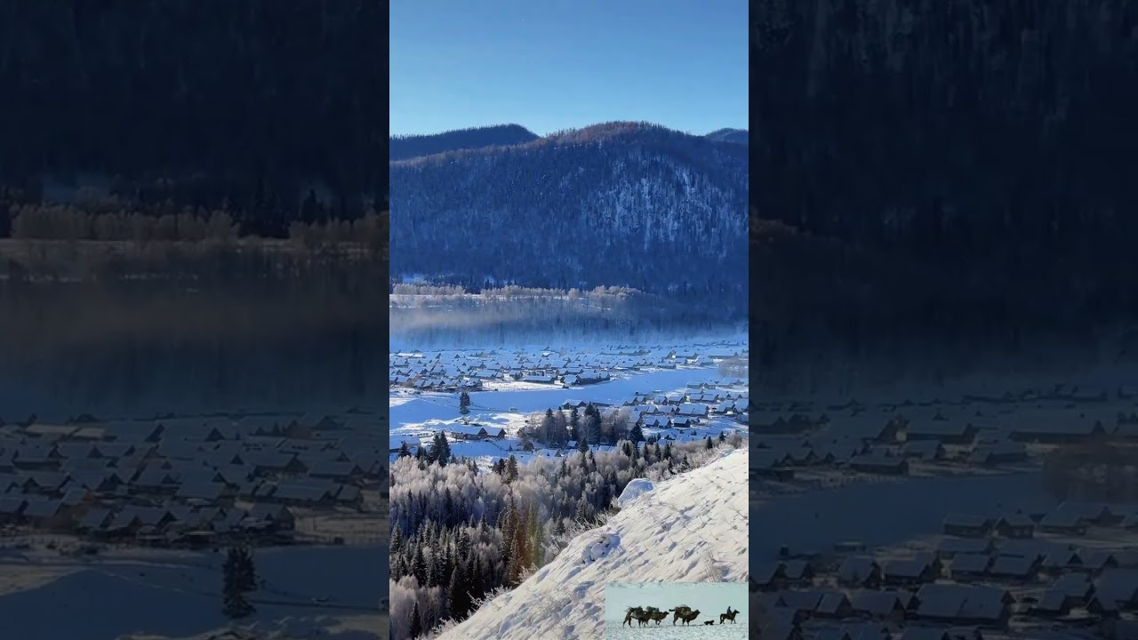 Lovely rural winter scene with a cute dog/田舎の素敵な雪景色 
