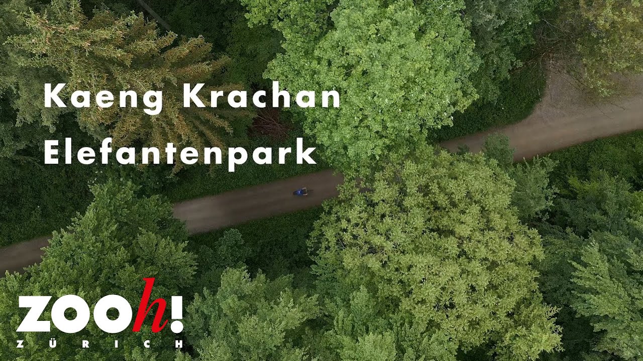 Kaeng Krachan Elefantenpark