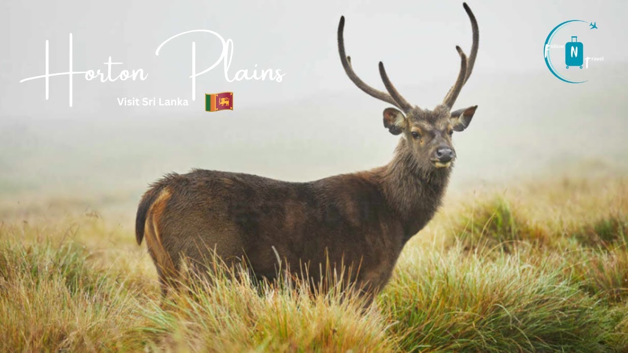Visit Sri Lanka - Horton Plains