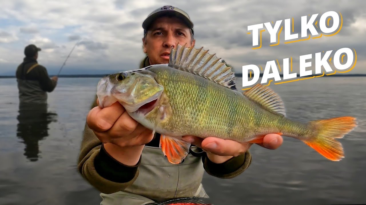 Na granicy rzutu! Tylko daleki dropshot dał okonie