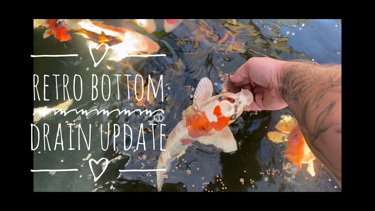 Update on the Retrofit bottom drain