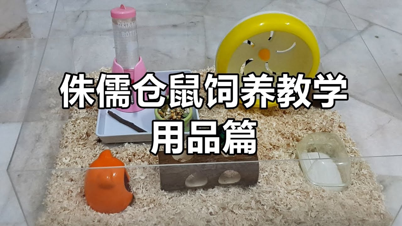 [侏儒仓鼠饲养教学] 用品篇 (非专业)