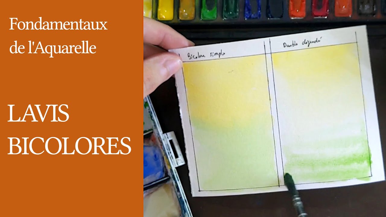 Lavis bicolores à l'aquarelle - Fondamentaux #12
