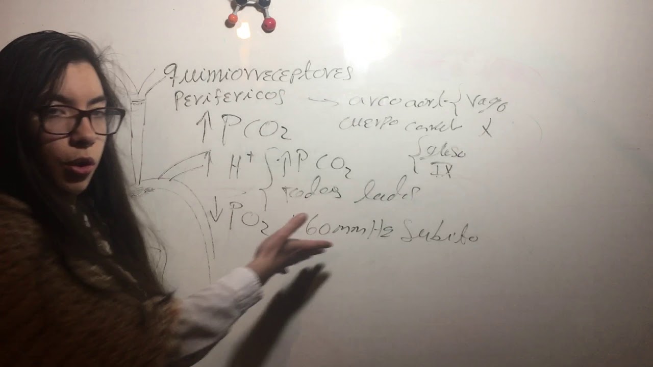 Quimiorreceptores Perifericos. Fisiología Pulmonar