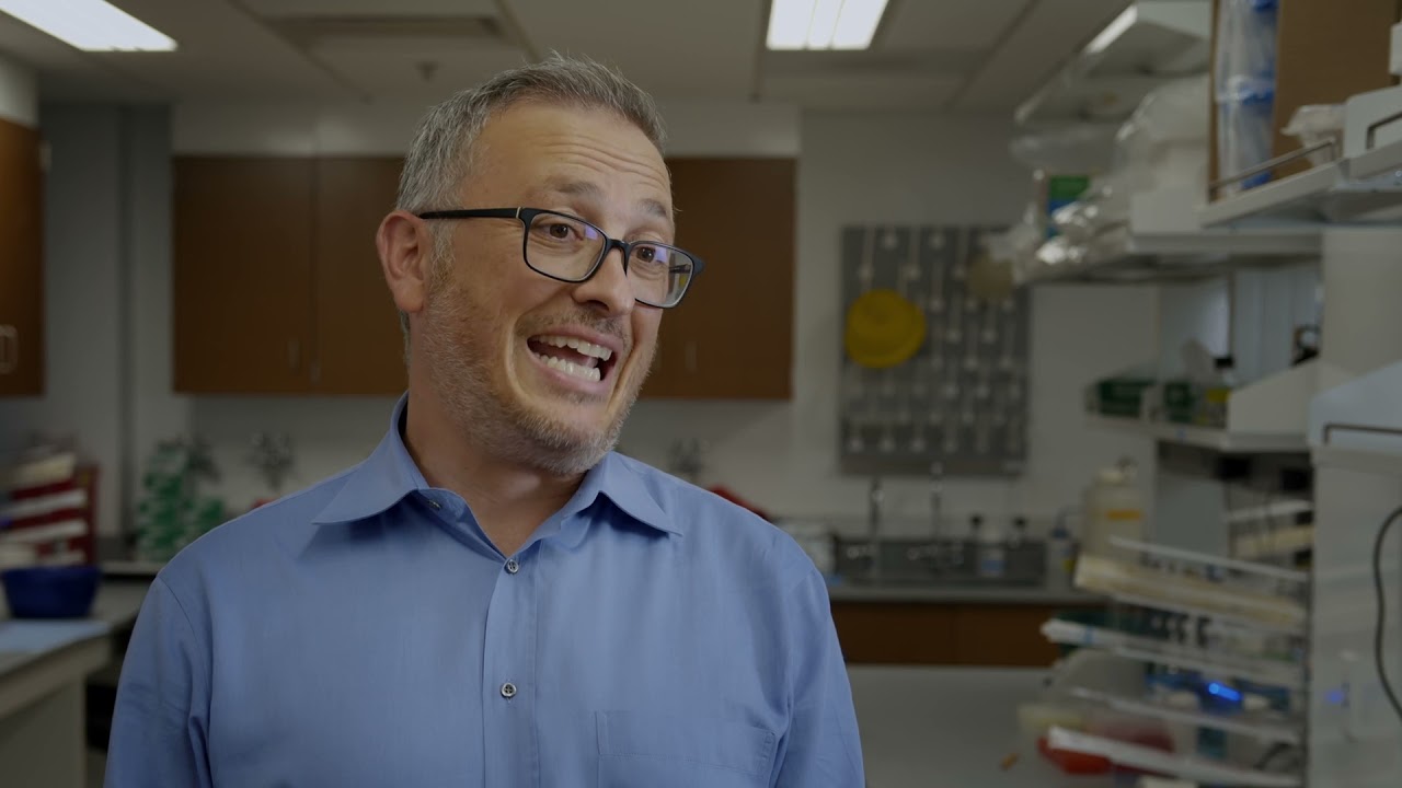 Meet Dr. Italo Tempera, Associate Director for Cancer Research Career Enhancement