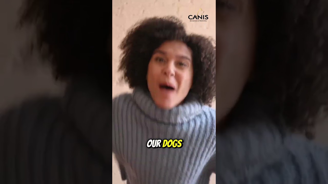 Teaching obedience does NOT mean being strict or yelling.