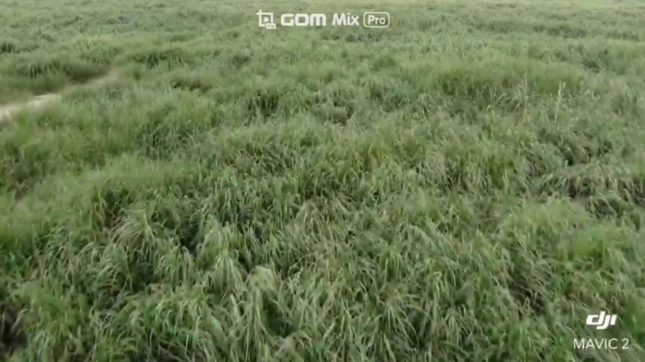 [LAOTV] LAOS Vientiane Maeokgang River View & 라오스 비엔티안 매콩강 뷰