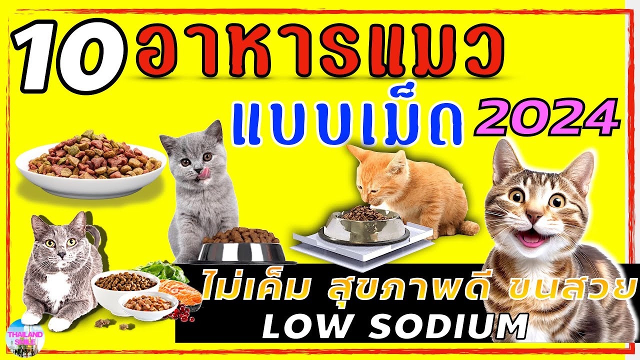 10 อาหารแมว แบบเม็ด ยี่ห้อไหนดี | ไม่เค็ม สุขภาพดี ขนสวย 2024 | @THAILAND SMILE