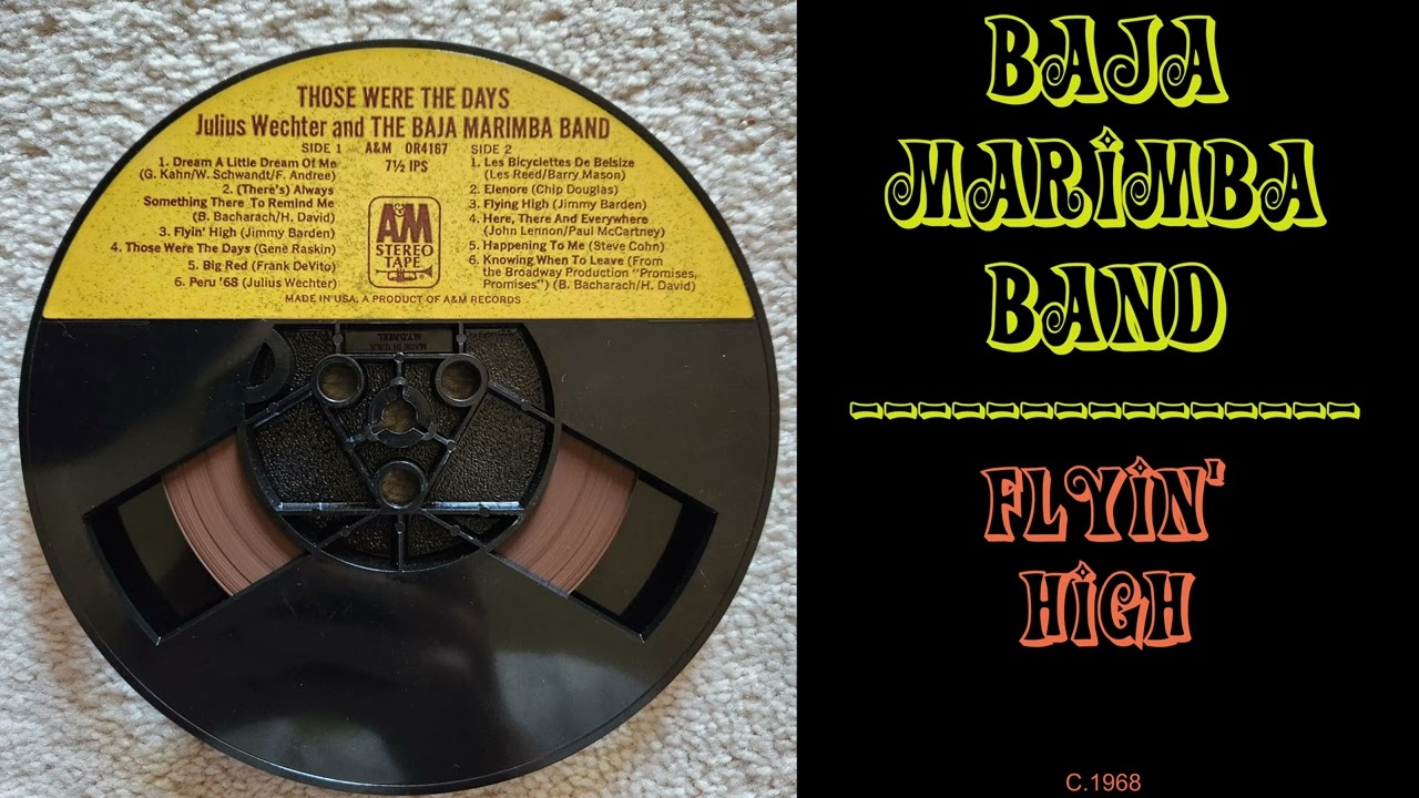 Baja Marimba Band - Flyin' High