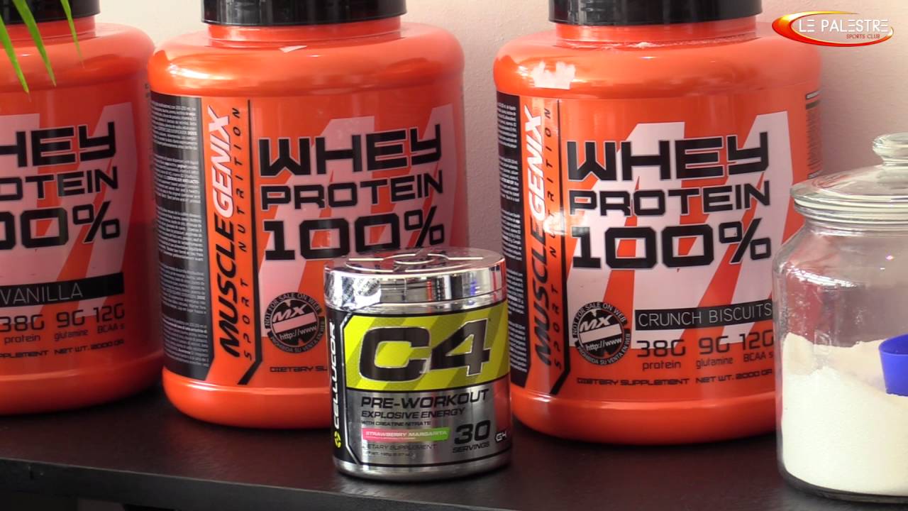 Teaser / Le Palestre