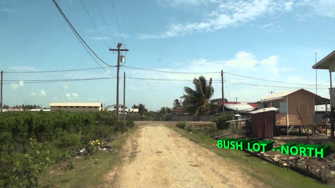 BUSH LOT VILLAGE-WEST COAST BERBICE-GUYANA.