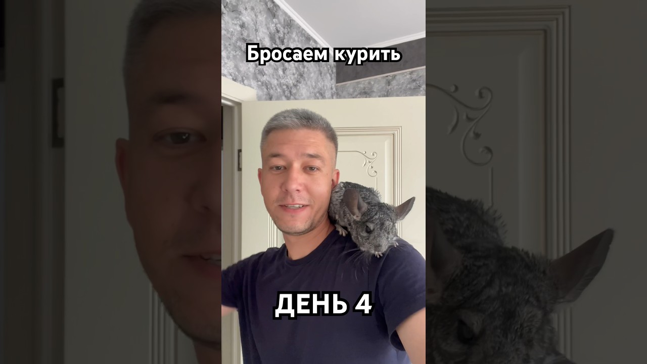 Бросить курить? Легко! 4 день #табекс #никозам #какброситькурить #заспорт #топ #шиншилла
