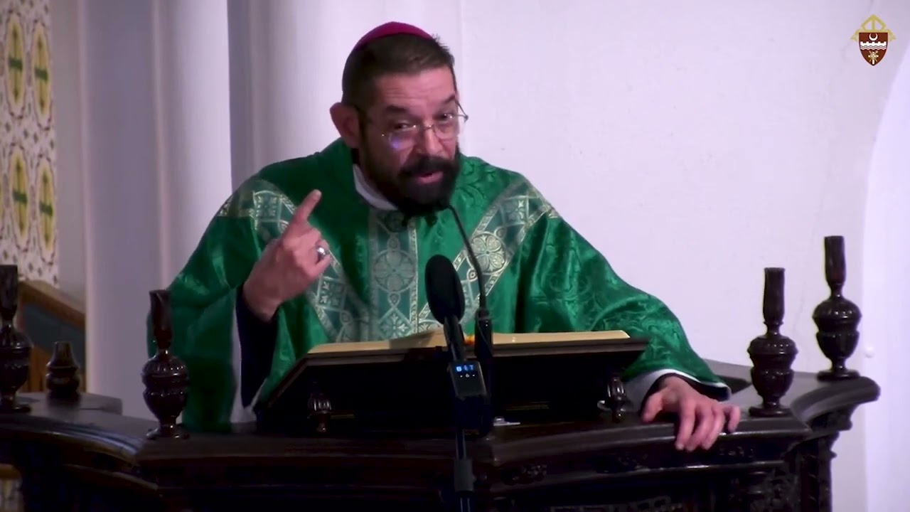 Bishop  Daniel E. Flores Homily Seventh Sunday in Ordinary Time
