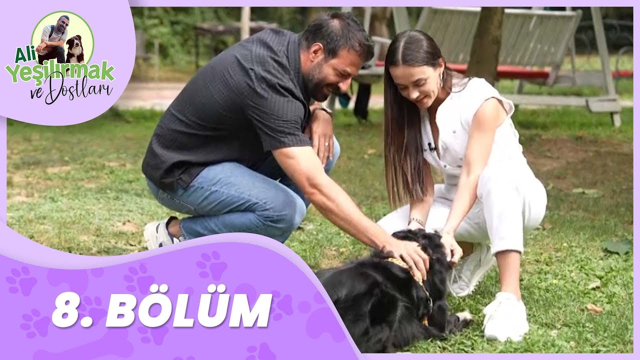 Ali Yeşilırmak ve Dostları 8. Bölüm
