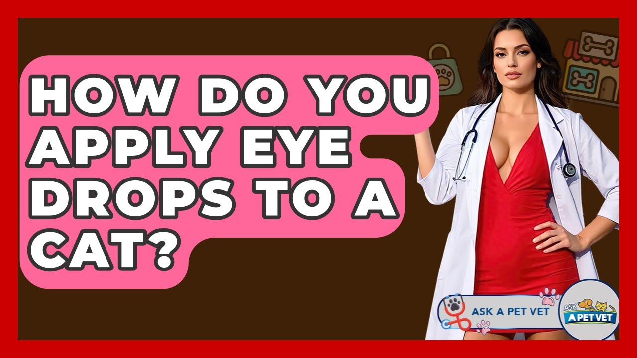 How Do You Apply Eye Drops To A Cat? - Ask A Pet Vet