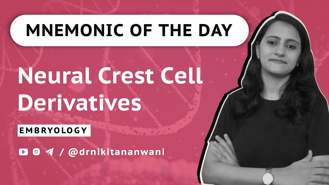 Mnemonic - Neural crest cell derivatives - Embryology | NEETPG | USMLE | Dr. Nikita Nanwani