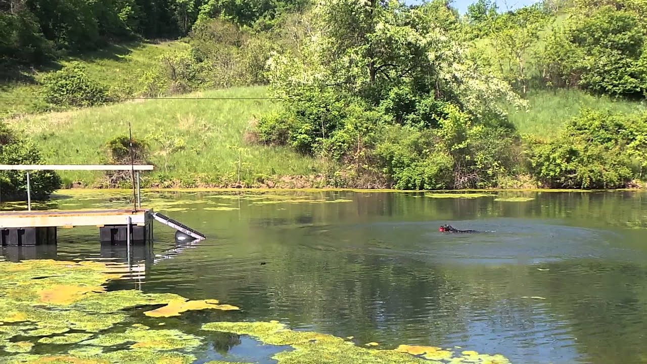 Team Casey on their new Dock