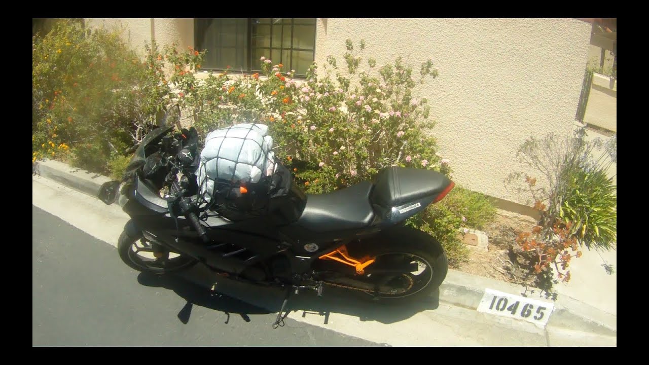 Bungee Cord Cargo Net...Perfect