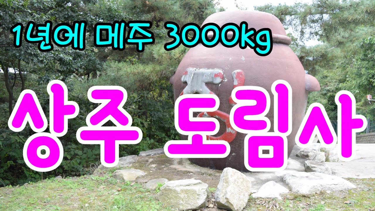 (브이로그, Vlog) 1년에 메주 3000kg  장 담그는 상주 도림사,    (홍인이네 들밥상 1/2) 글빵^^