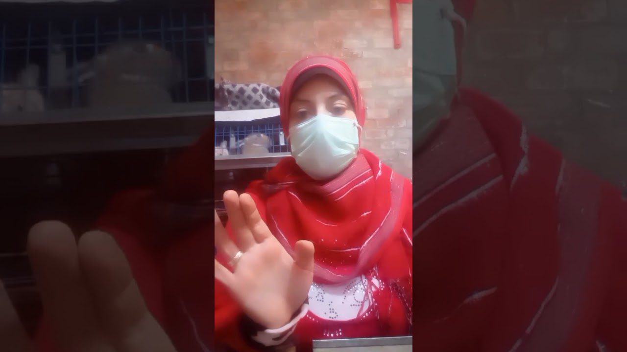 فيديو جديد بنتكلم فية عن حصص العلف للارانب