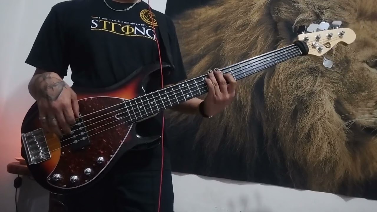 Don romantiko - Vhong navarro (Bass Cover)