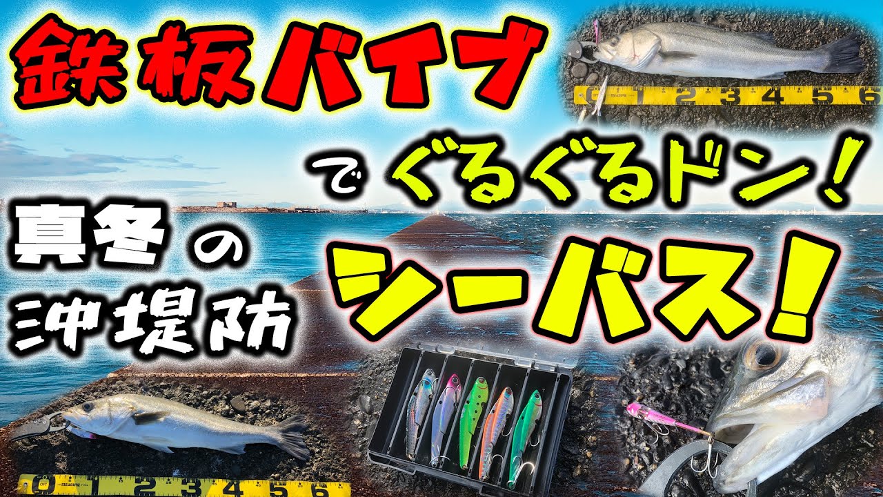 鉄板バイブでぐるぐるドン！真冬の沖堤防シーバス！ - コアマン  IP-26アイアンプレートで激流シーバスを獲る、２月のデイゲーム編 - 東京湾シーバス