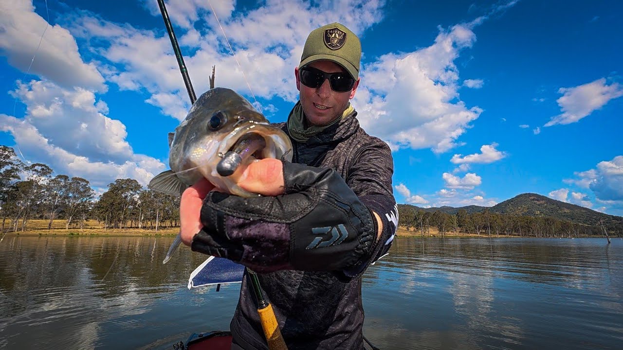 Австралийский окунь - Daiwa Bait Junkie 3.2 Minnow Pt 1