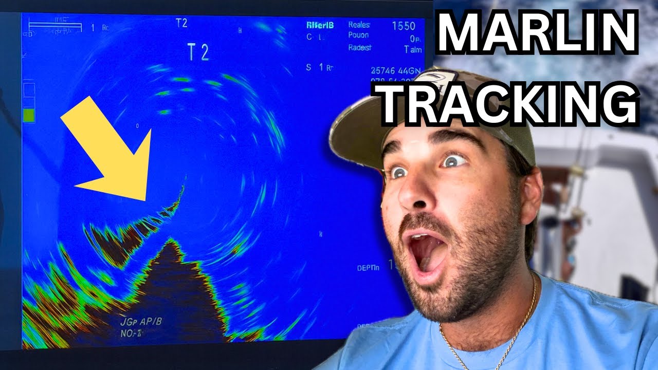 Я использовал сонар за 100 000 долларов... и это изменило все