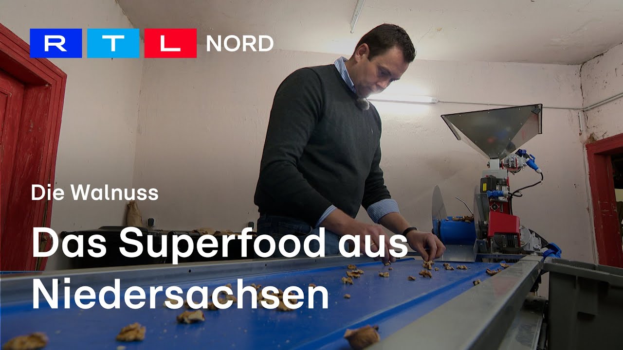 Heimisches Superfood | So gesund ist die Walnuss