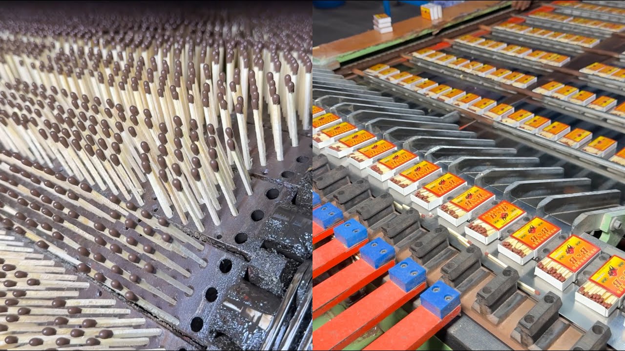 How do they make matchsticks from huge tree logs?