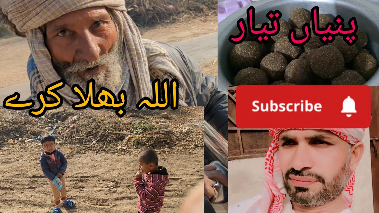 Allha bhala kry piniyan ban Gai Pakistan vs aus Pakistan zindabad Short video upload kesy Karin 