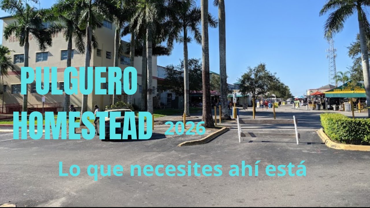 VIDA  está en vivo