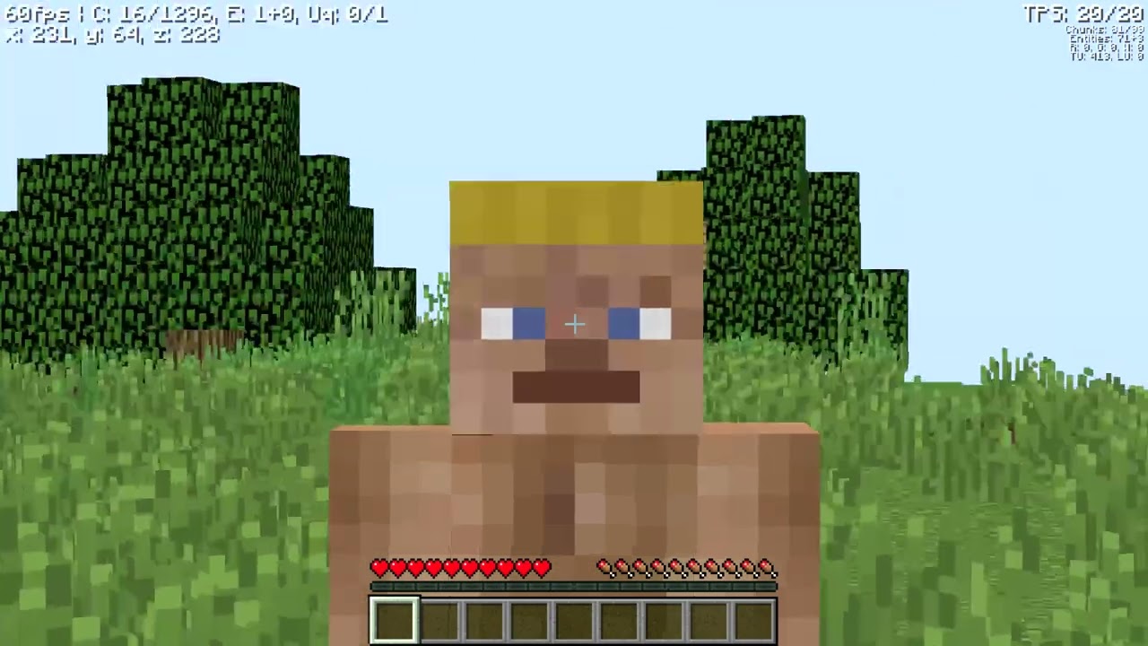 LA FINE???!!! VANILLA 1.8.8 EP.8