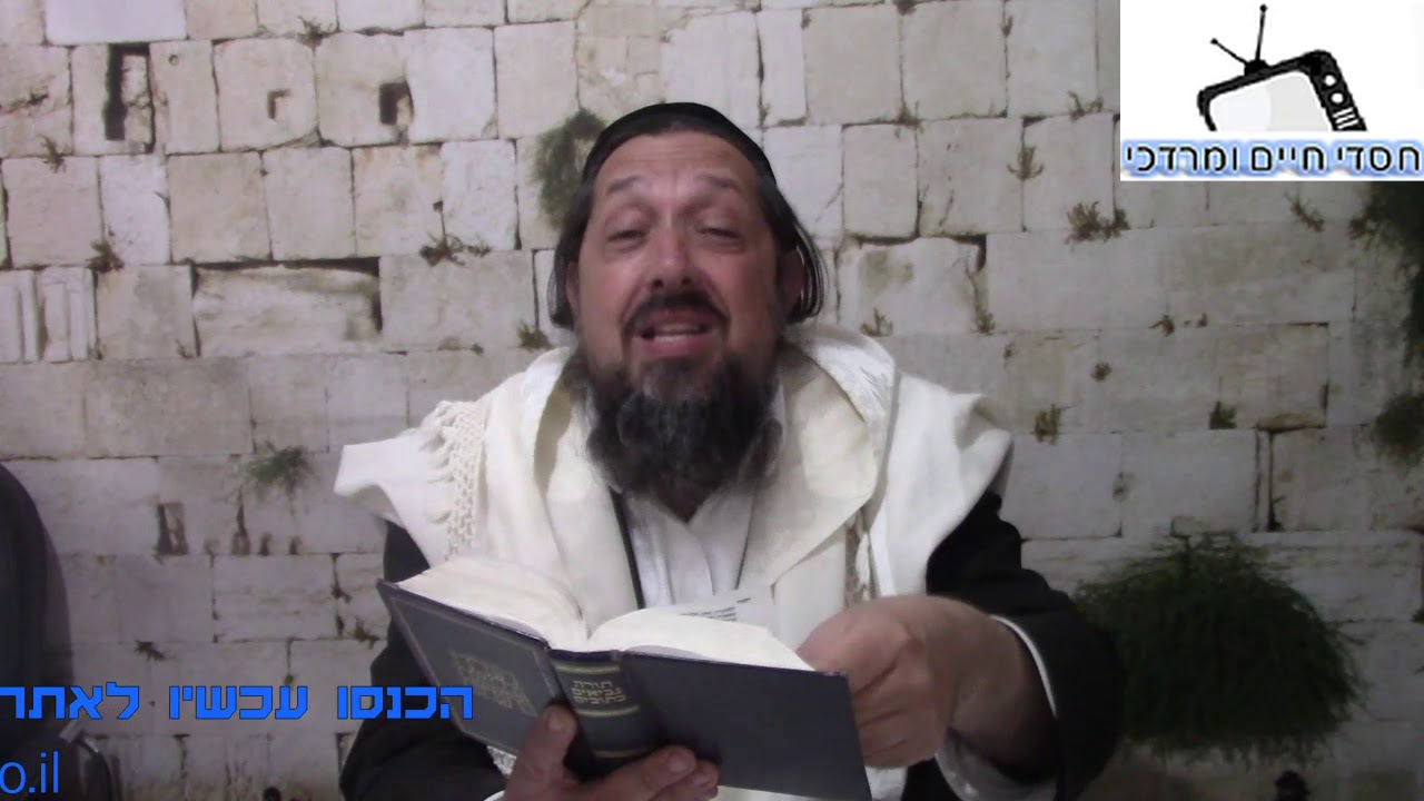 איך נראה המשיח- הרב אהרון שטרן