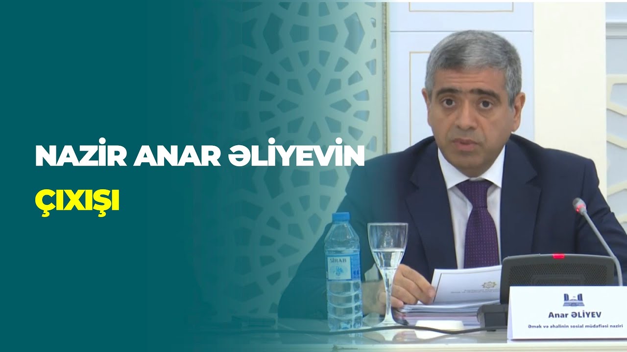 Nazir Anar Əliyevin Milli Məclisdə çıxışı