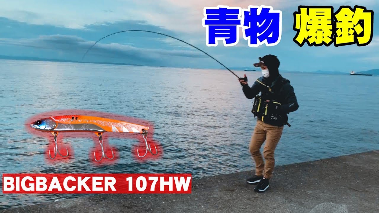 【青物爆釣】メタルバイブのビッグバッカー107HWでハマチ連発編