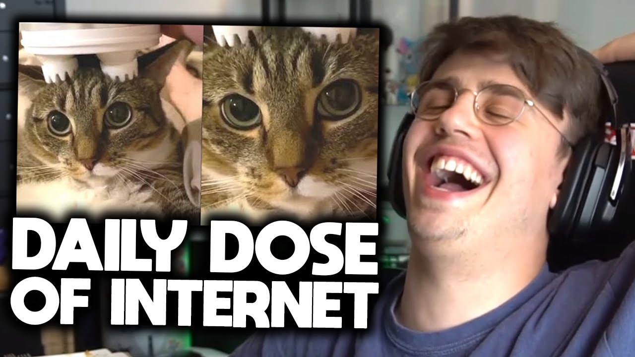 Papaplatte reagiert auf DAILY DOSE OF INTERNET! 😂🔥 | Papaplatte Highlights