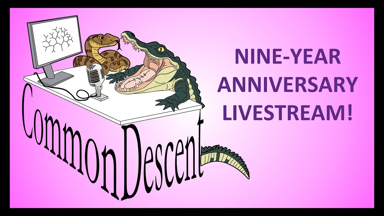 Nine-Year Anniversary Livestream!