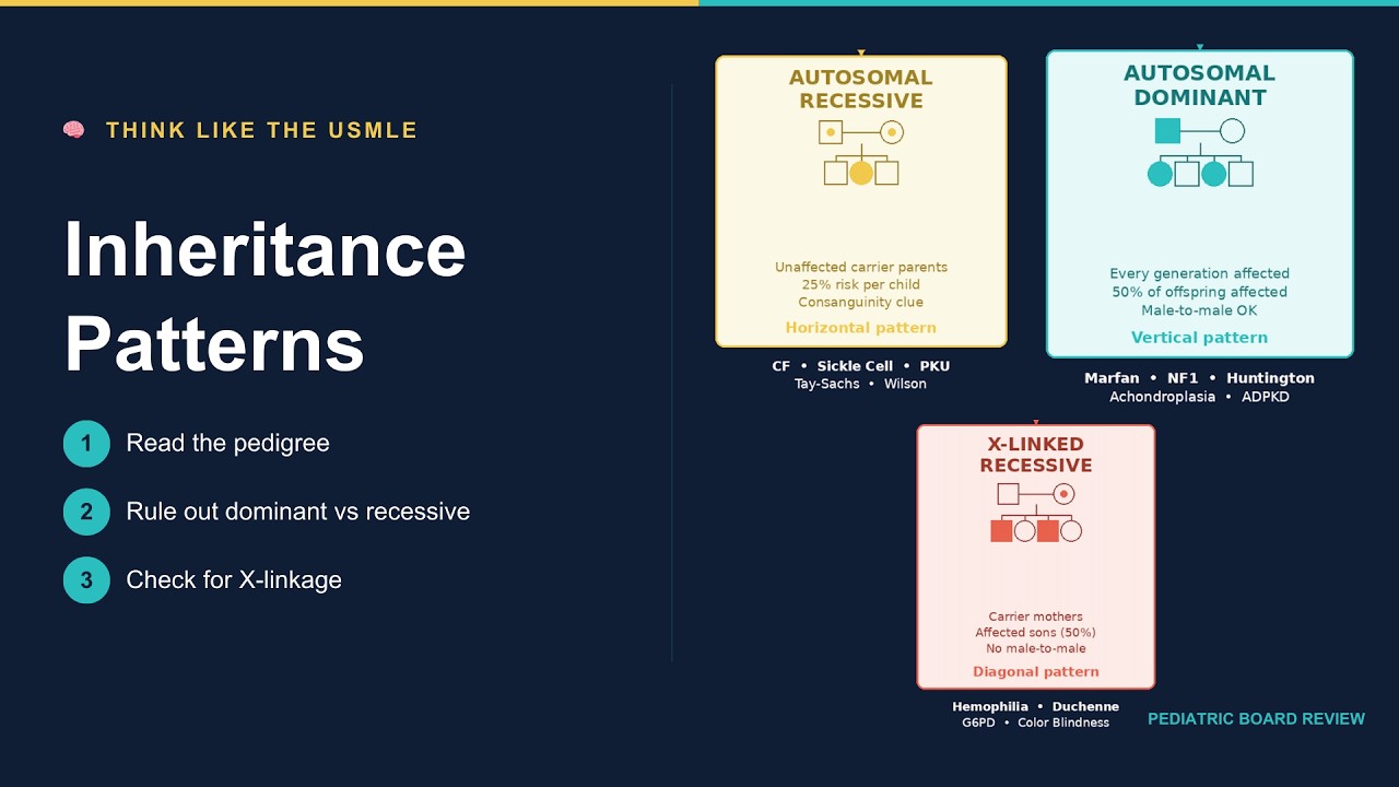 Inheritance Patterns Made Predictable | USMLE & COMLEX