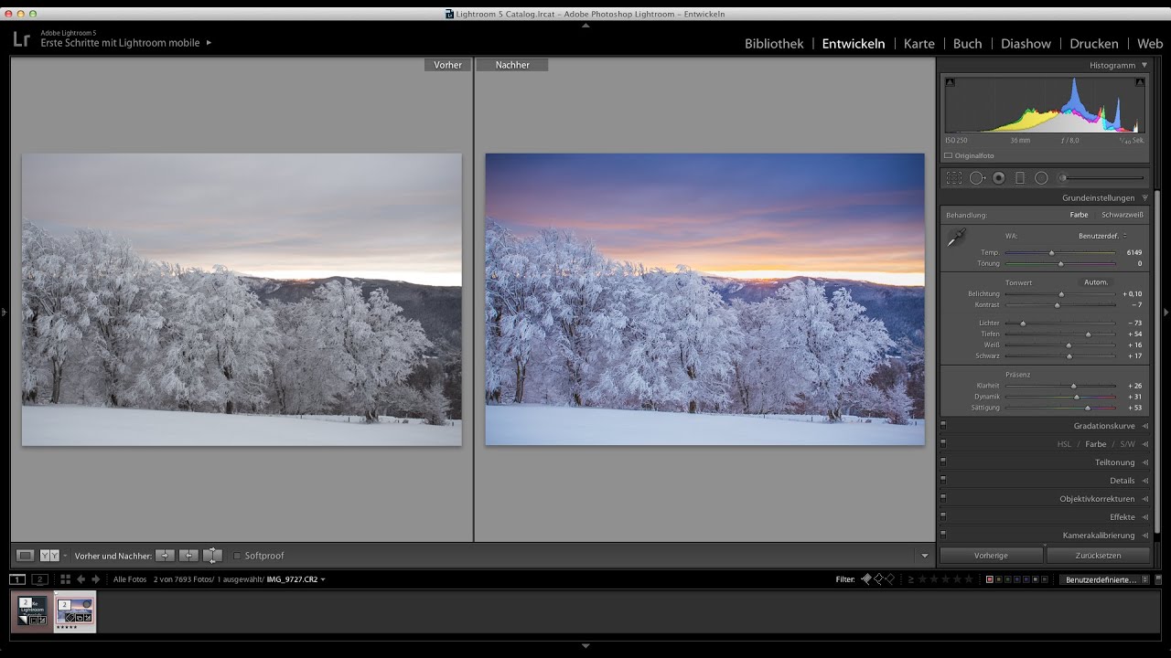LaKe Lightroom Tutorials -Schneelandschaft