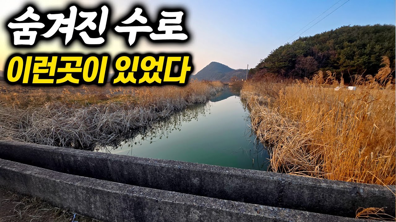 동네분이 살짝 알려주신 농수로 비밀포인트에서 차박하기