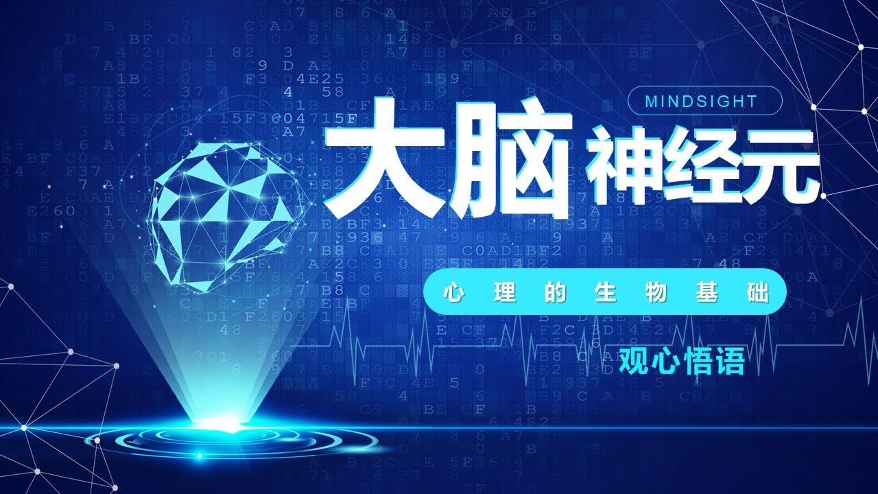 心理的生物基础&mdash;&mdash;神经元：什么是神经元，如何传递信息